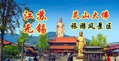 男鸡巴插女逼免费网站江苏无锡灵山大佛旅游风景区